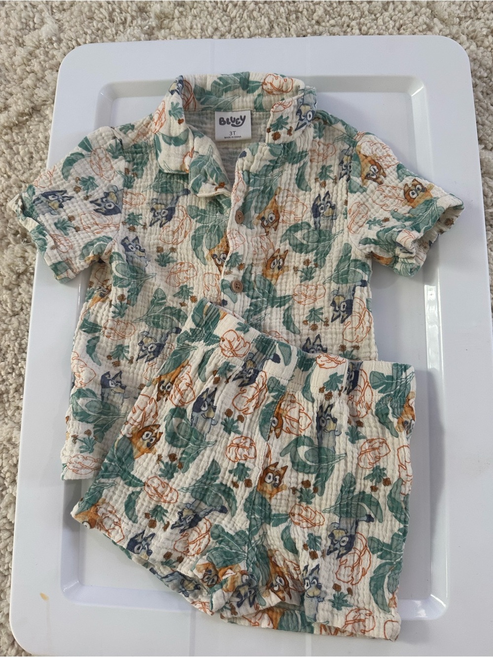Bluey Outfit Set